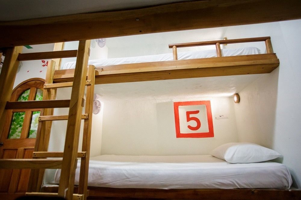Hostel Natura 칸쿤 외부 사진