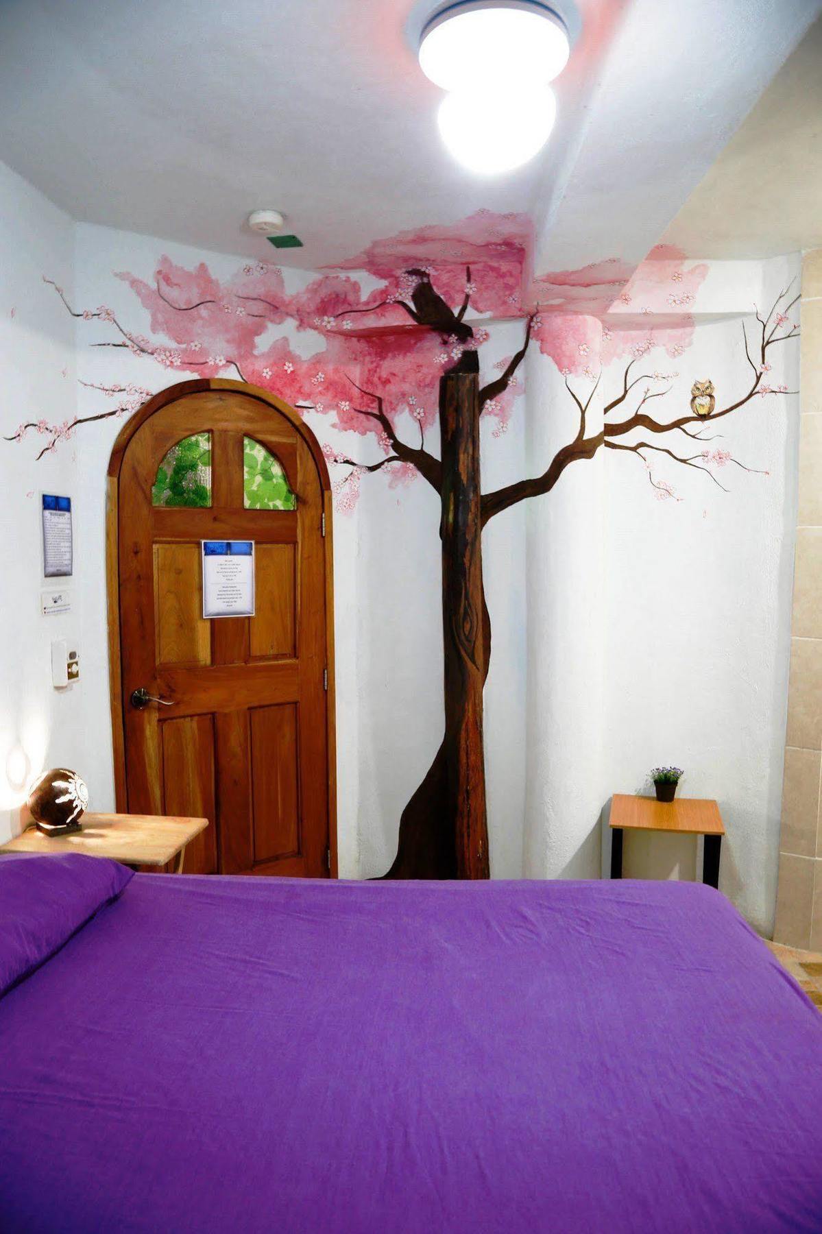 Hostel Natura 칸쿤 외부 사진