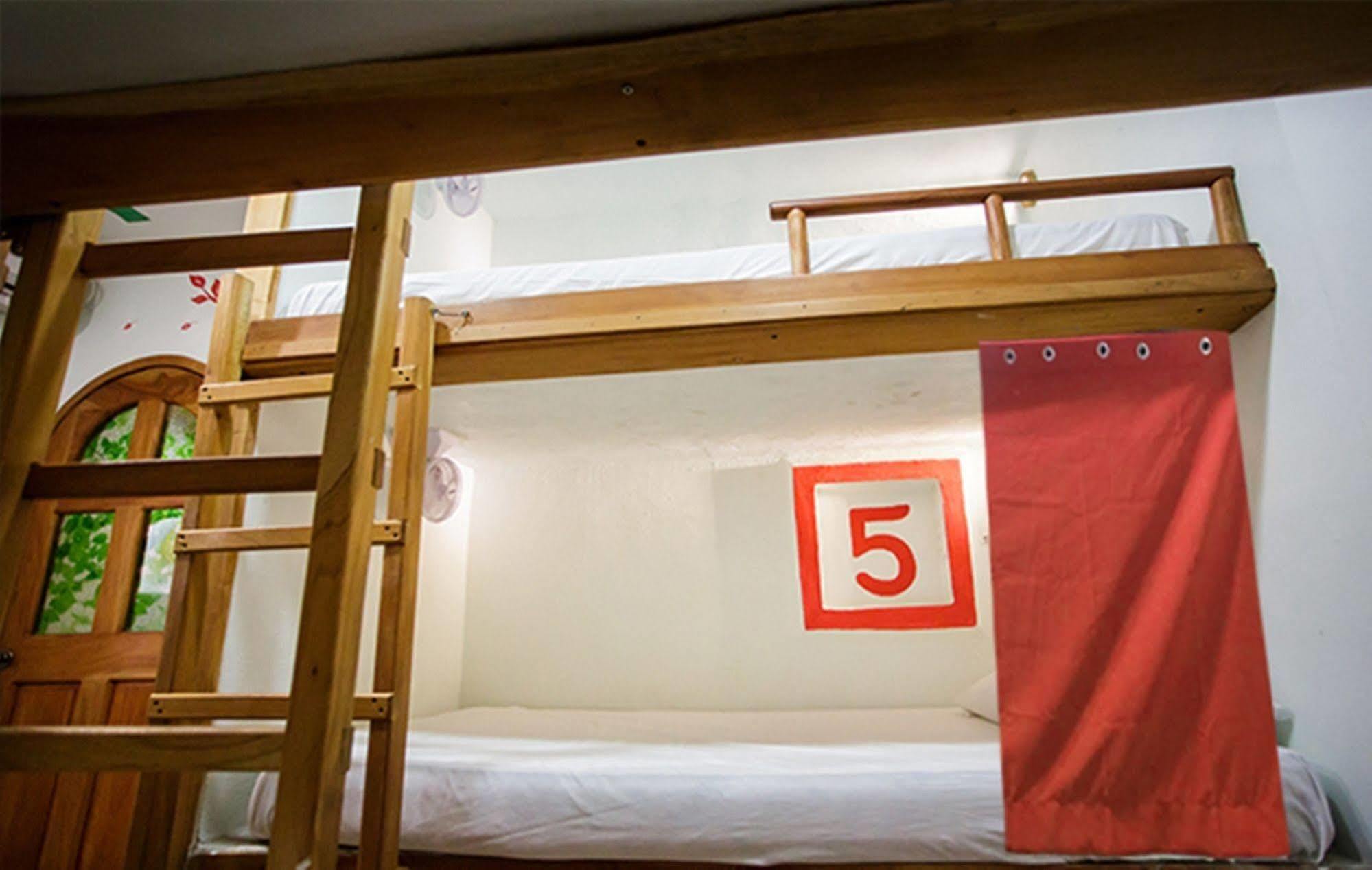 Hostel Natura 칸쿤 외부 사진