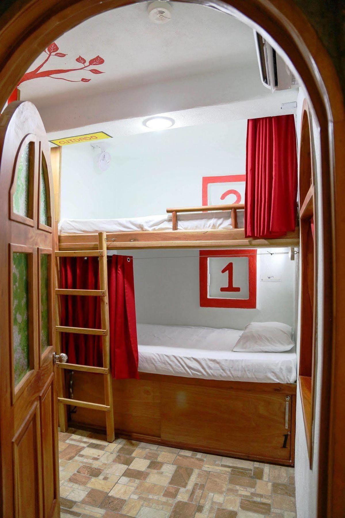Hostel Natura 칸쿤 외부 사진