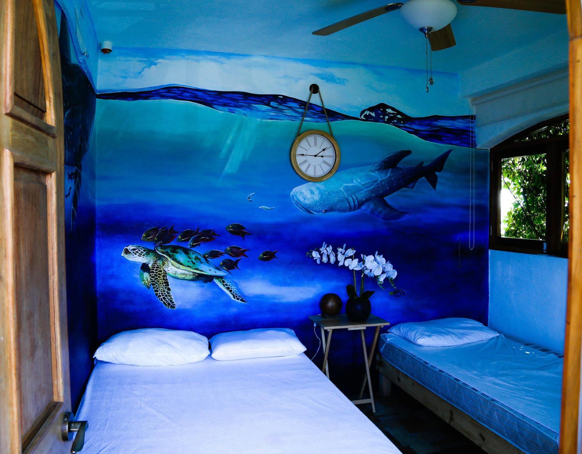 Hostel Natura 칸쿤 외부 사진