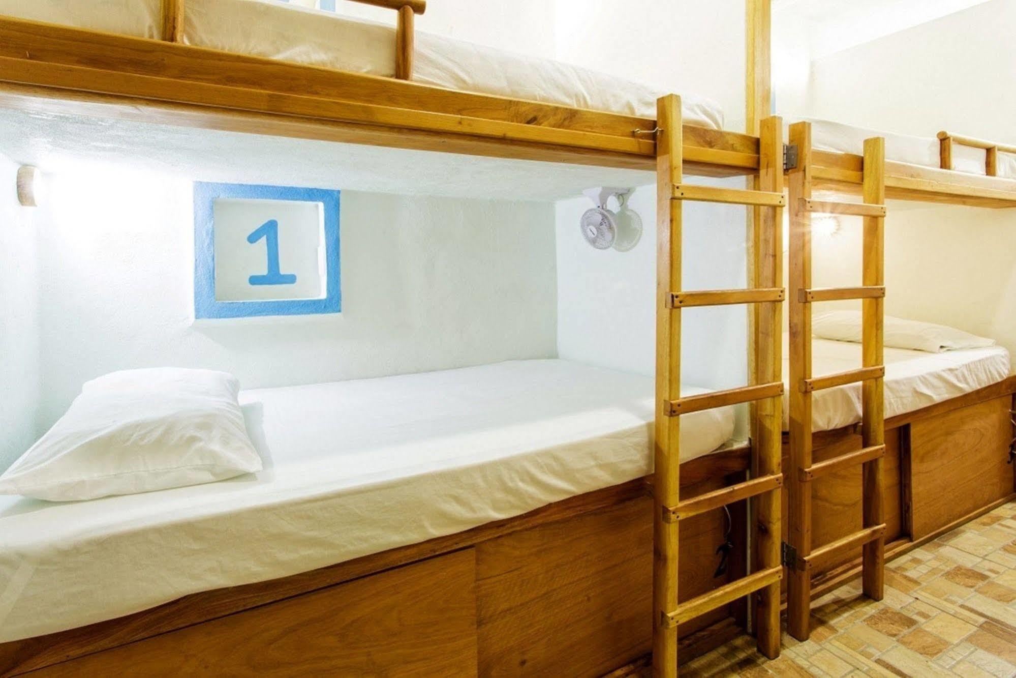 Hostel Natura 칸쿤 외부 사진