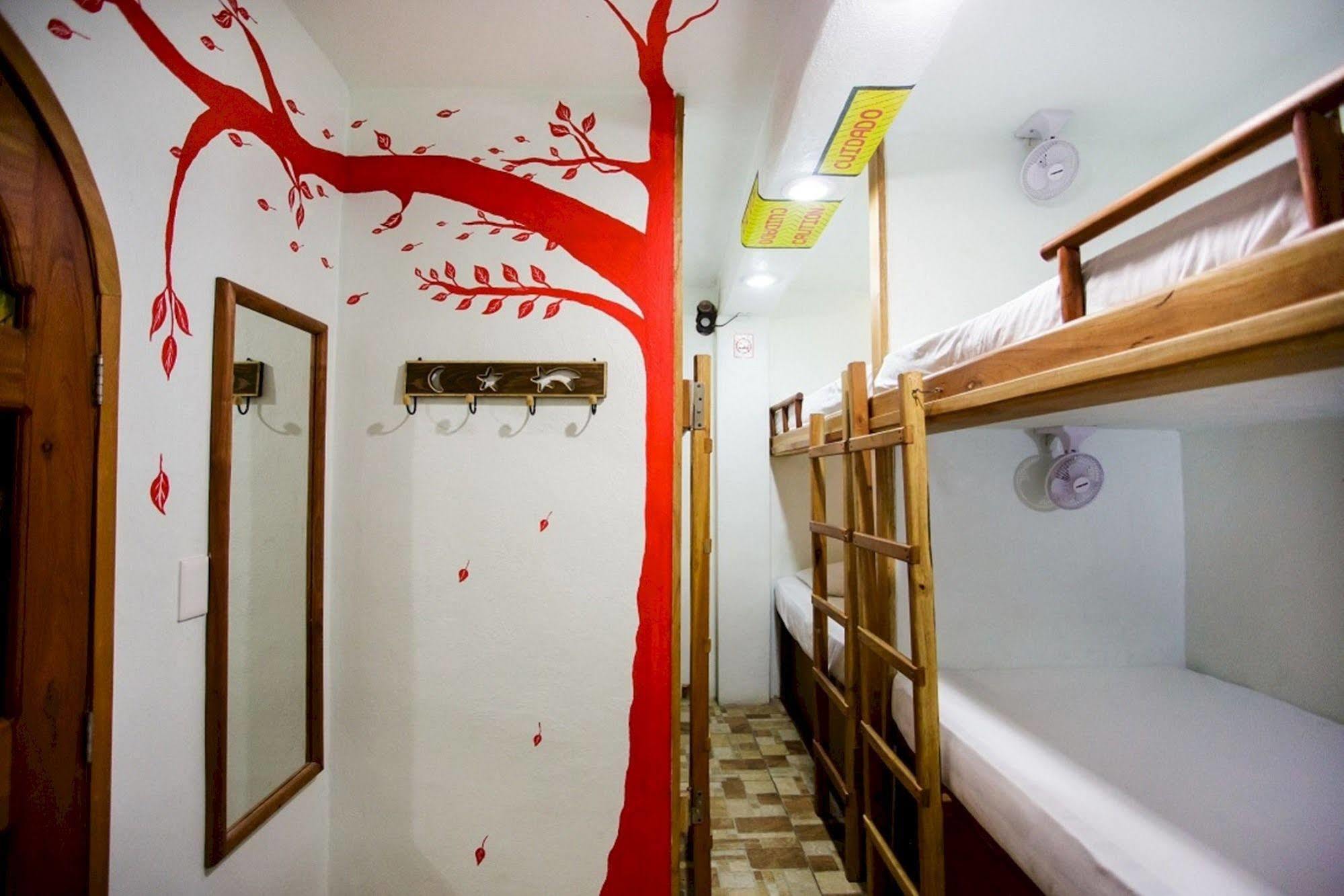 Hostel Natura 칸쿤 외부 사진