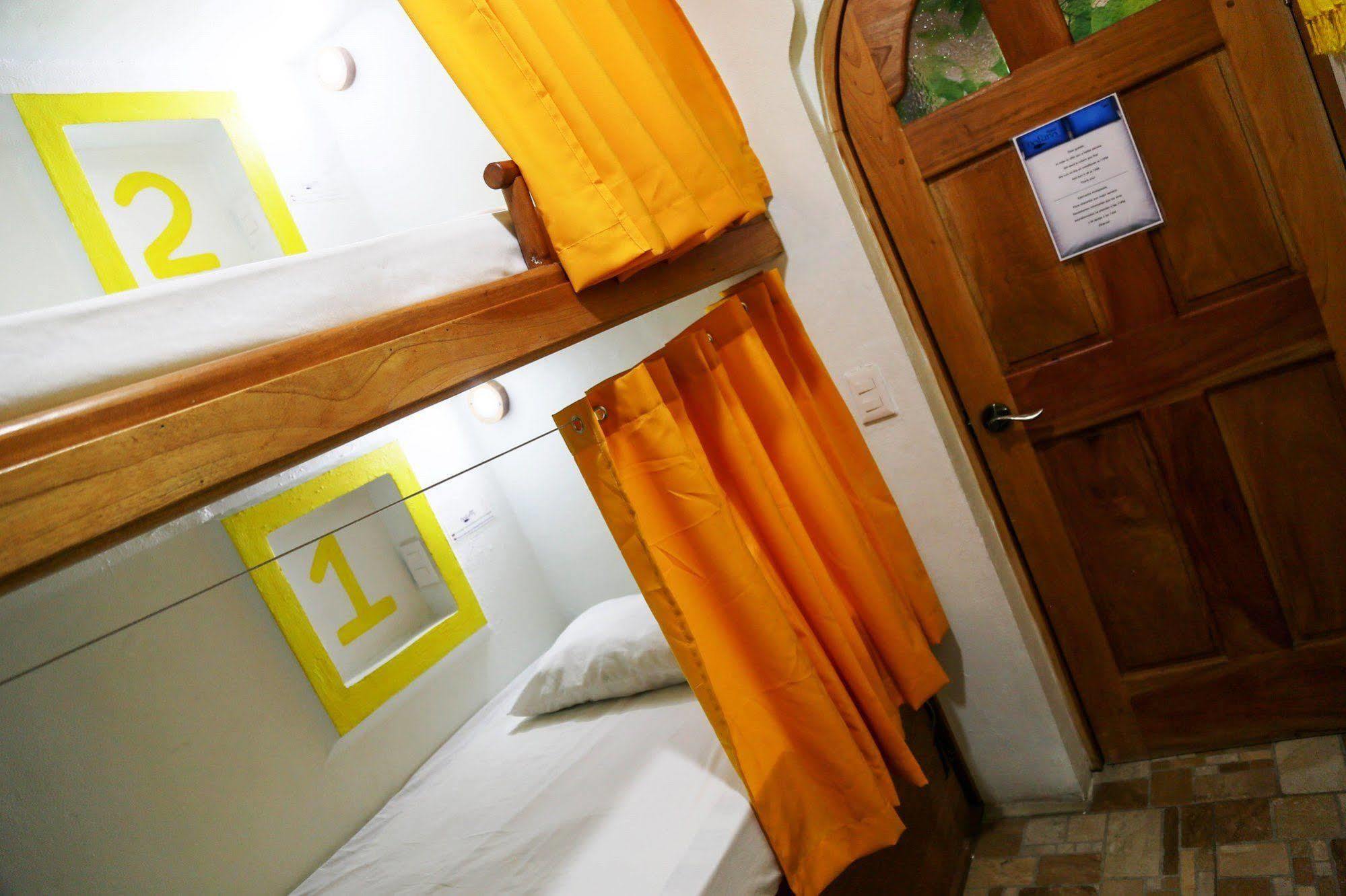 Hostel Natura 칸쿤 외부 사진